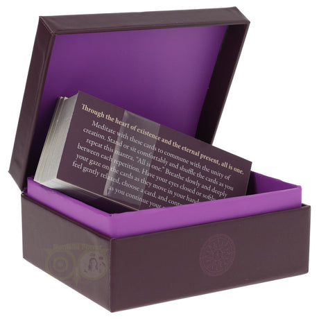 Ewiges Licht – Toni Carmine Salerno