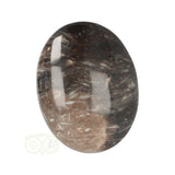 Fossiel Koraal Cabuchon Nr 22