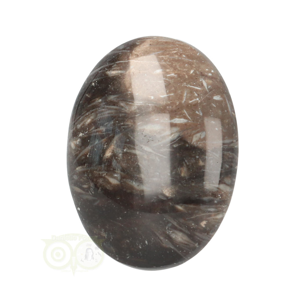 Fossiel Koraal Cabuchon Nr 22