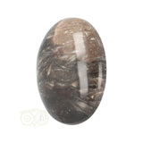 Fossiel Koraal Cabuchon Nr 22