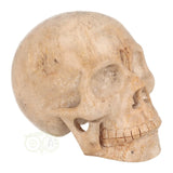 Fossiel koraal kristallen schedel XL 593 gram