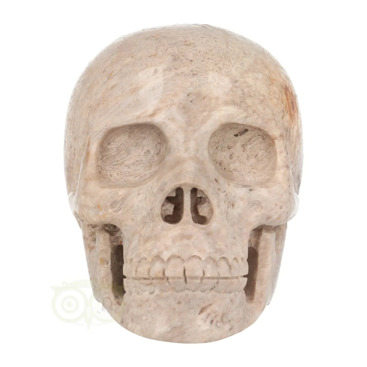 Fossiel koraal kristallen schedel XL 621 gram