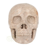 Fossiel koraal kristallen schedel XL 621 gram