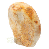 Fossil coral sculpture No. 1 - 683 grams