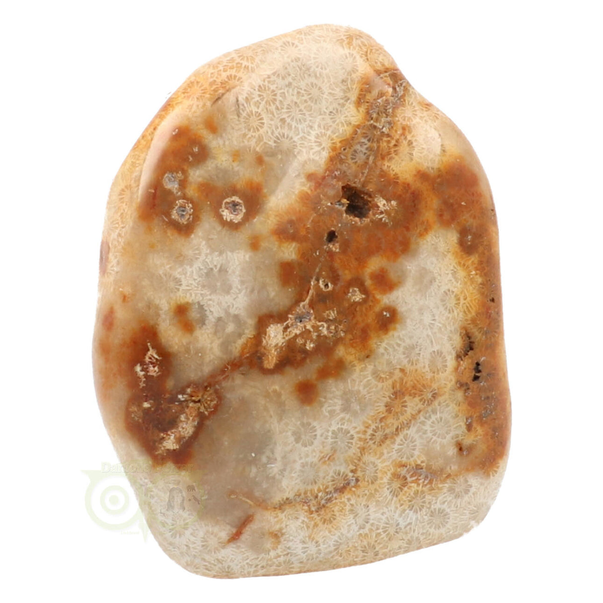 Fossil coral sculpture No. 1 - 683 grams