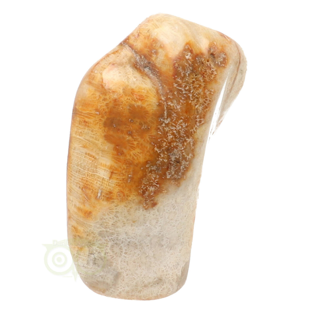 Fossil coral sculpture No. 1 - 683 grams