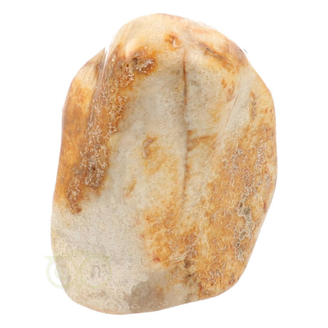 Fossiel koraal sculptuur Nr 1 - 683 gram