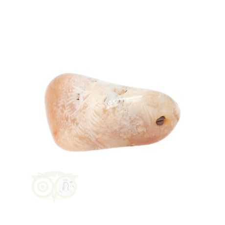 Fossiler Korallentrommelstein Nr. 14