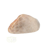 Fossiel Koraal trommelsteen Nr 15