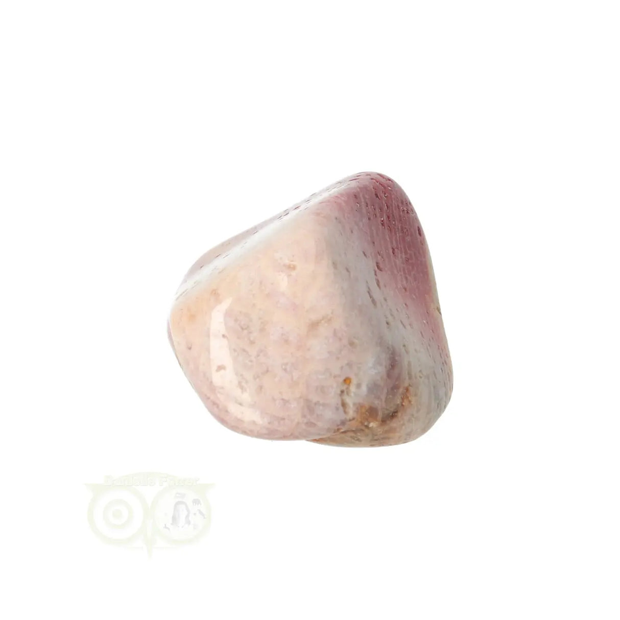 Fossiel Koraal trommelsteen Nr 22