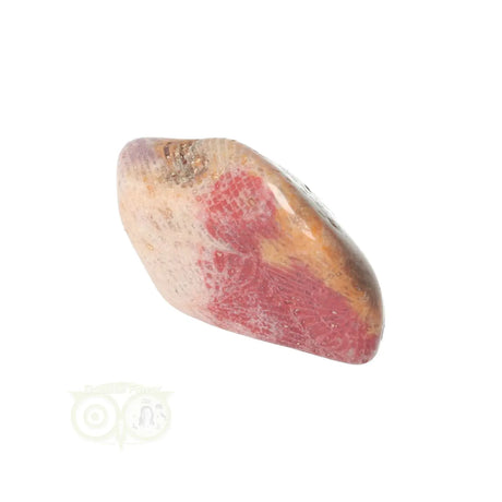 Fossiler Korallentrommelstein Nr. 22
