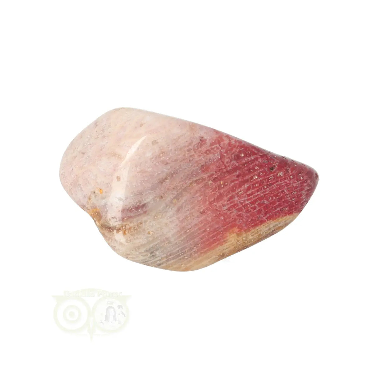 Fossiel Koraal trommelsteen Nr 22