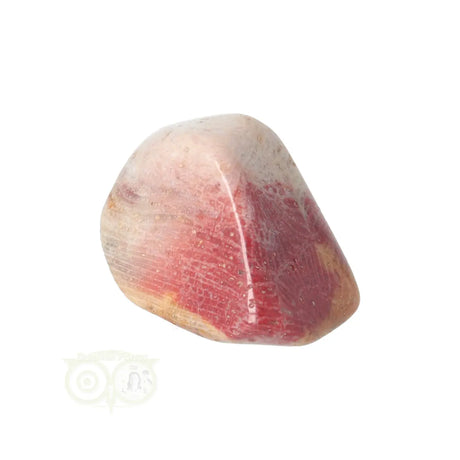 Fossiler Korallentrommelstein Nr. 22