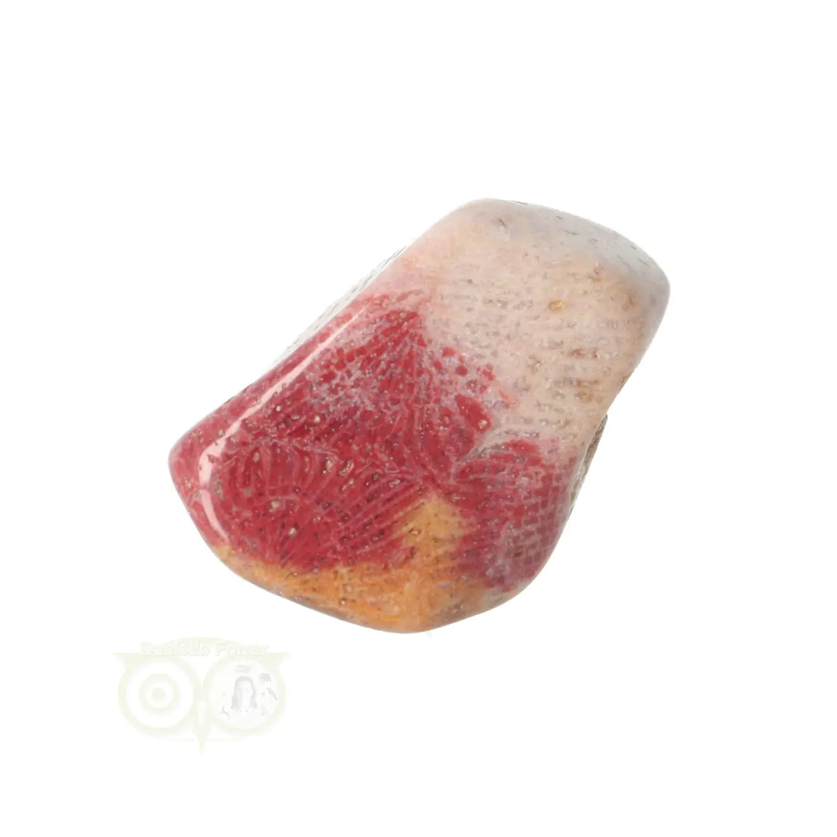 Fossiel Koraal trommelsteen Nr 22