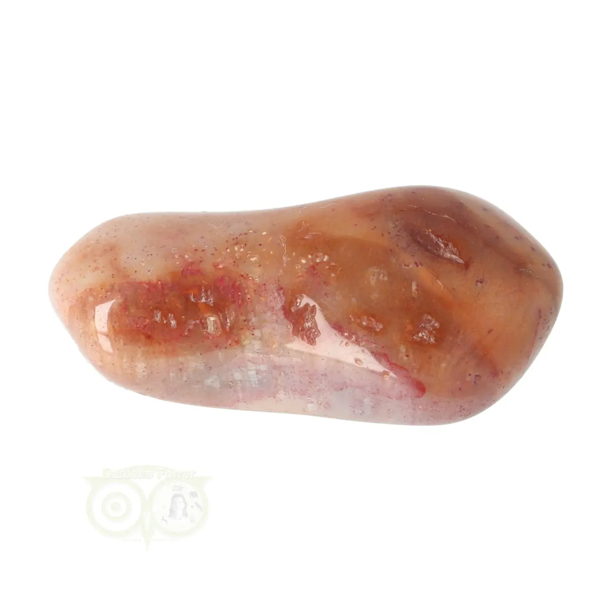 Fossiel Koraal trommelsteen Nr 23