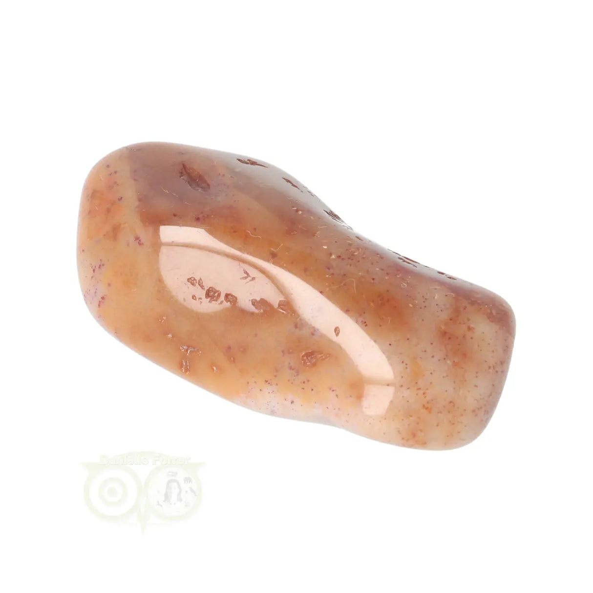 Fossiel Koraal trommelsteen Nr 23