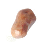 Fossiel Koraal trommelsteen Nr 23