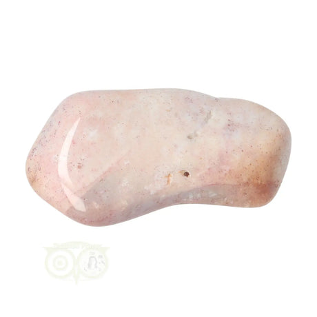 Fossiler Korallentrommelstein Nr. 23