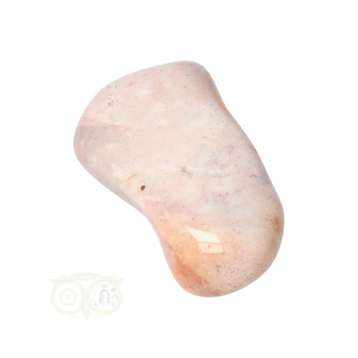 Fossiel Koraal trommelsteen Nr 23