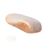 Fossiel Koraal trommelsteen Nr 23