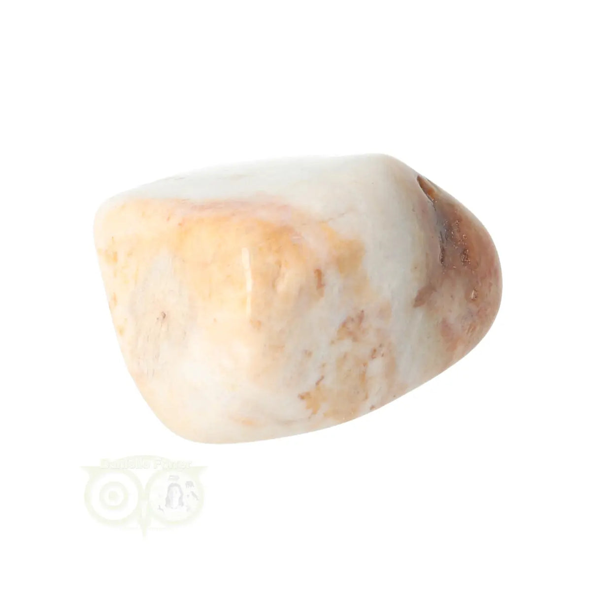 Fossiel Koraal trommelsteen Nr 24