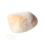 Fossiel Koraal trommelsteen Nr 24