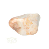 Fossiel Koraal trommelsteen Nr 24