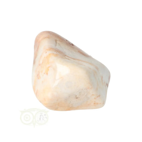 Fossiler Korallentrommelstein Nr. 24