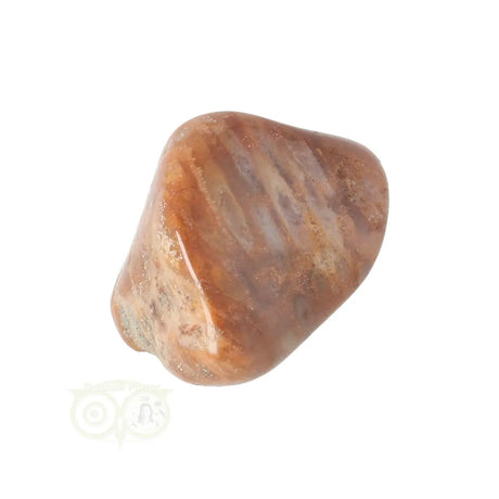 Fossiler Korallentrommelstein Nr. 25