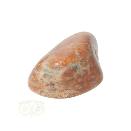 Fossiler Korallentrommelstein Nr. 25