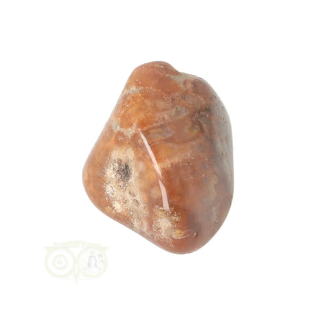 Fossiler Korallentrommelstein Nr. 25