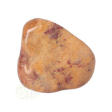 Fossiel Koraal trommelsteen Nr 8