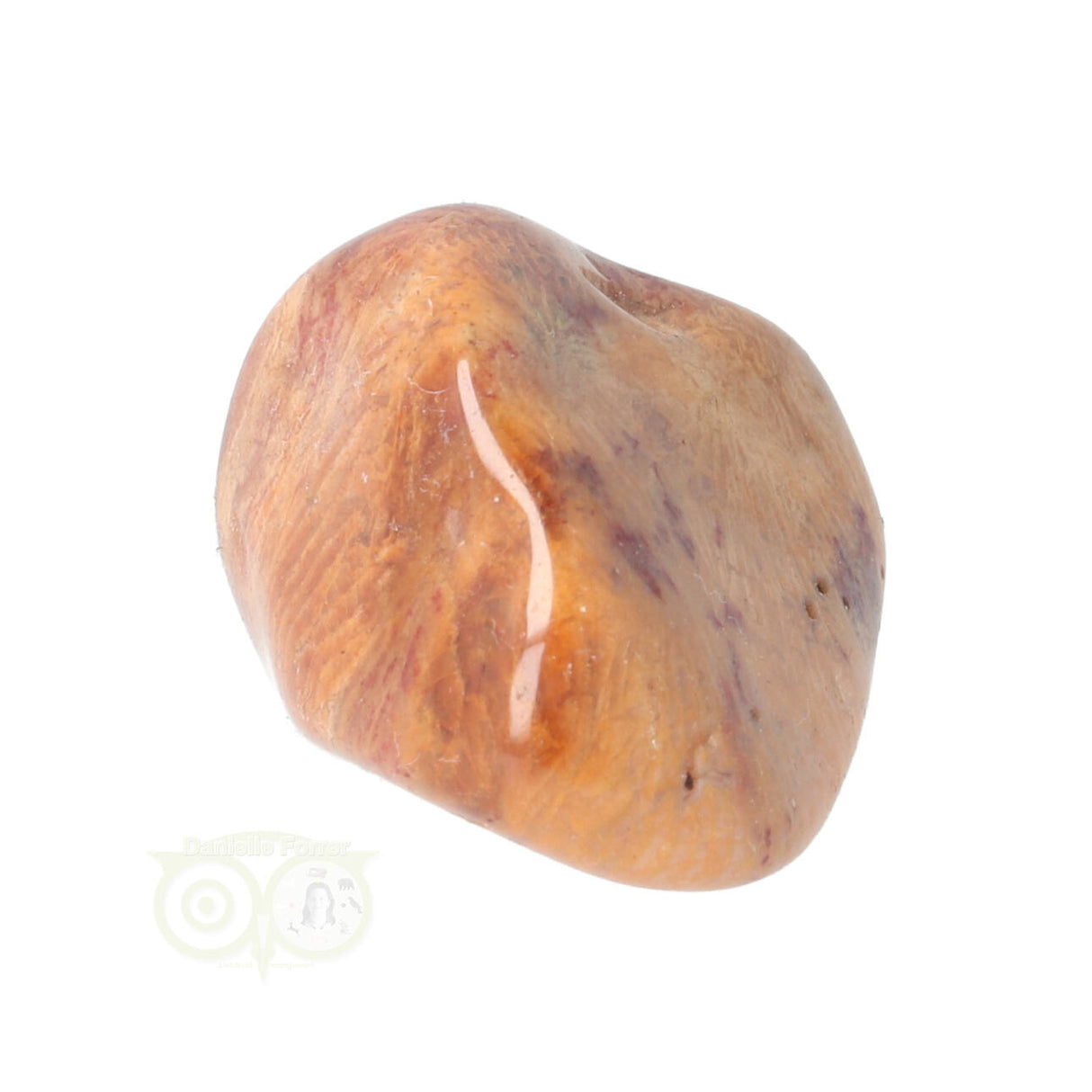 Fossiel Koraal trommelsteen Nr 8