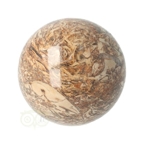 Fossielen schelpen jaspis bol 260 gram nr. 9 Ø 5,71 cm – beige bruin met gefossiliseerde schelpen – Java – Webshop Danielle Forrer