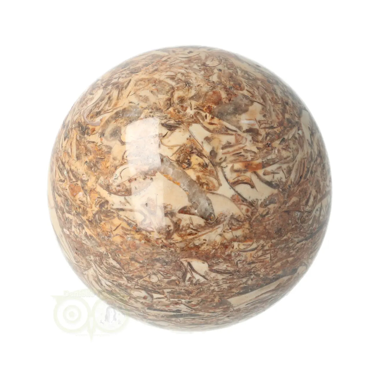 Fossielen schelpen Jaspis Bol Nr 9 - Ø 5.71 cm