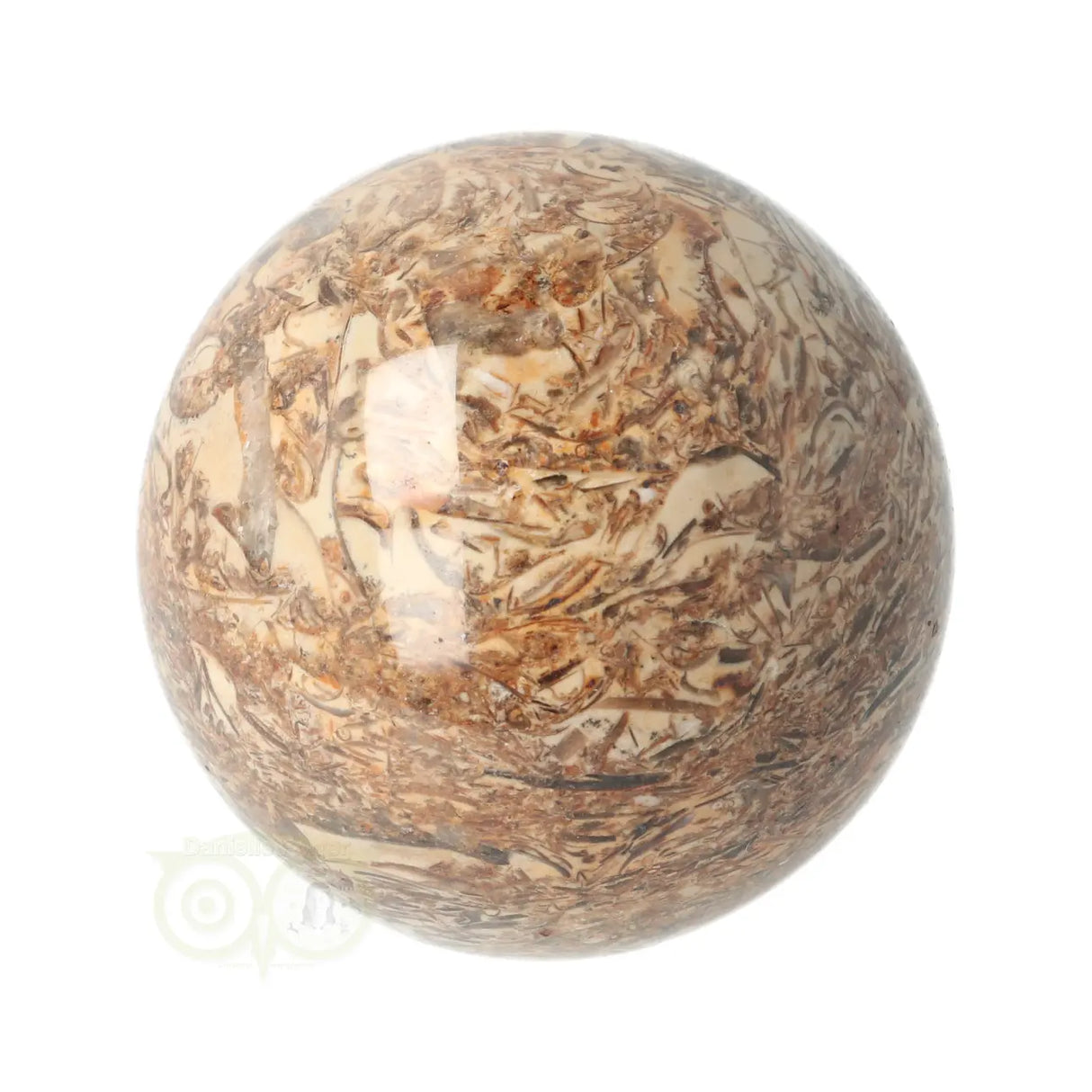 Fossielen schelpen Jaspis Bol Nr 9 - Ø 5.71 cm