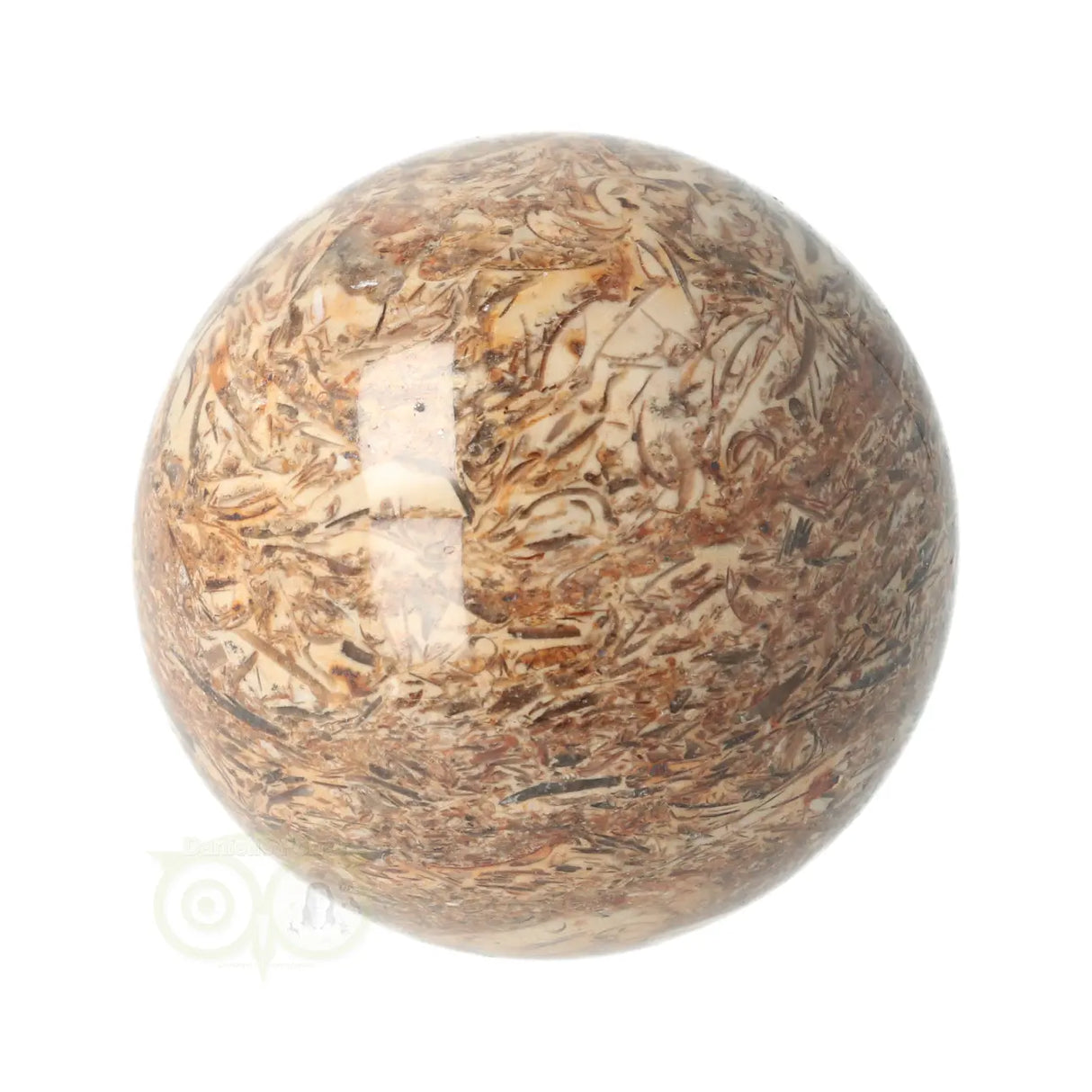 Fossielen schelpen Jaspis Bol Nr 9 - Ø 5.71 cm