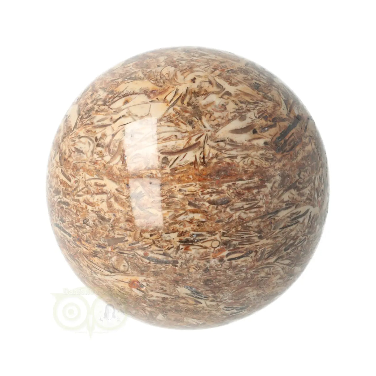 Fossielen schelpen Jaspis Bol Nr 9 - Ø 5.71 cm