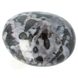 Gabbro Merliniet handsteen Nr 31