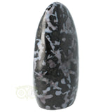 Gabbro Merliniet Sculptuur Nr 14