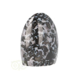 Gabbro-Merlinit-Skulptur Nr. 21