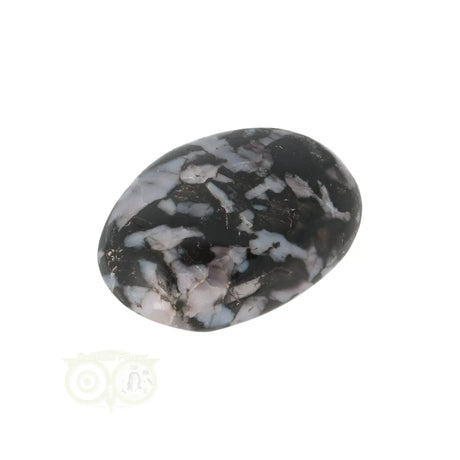 Gabbro-Merlinit-Taschenstein Nr. 12