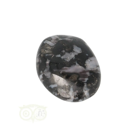 Gabbro-Merlinit-Taschenstein Nr. 12