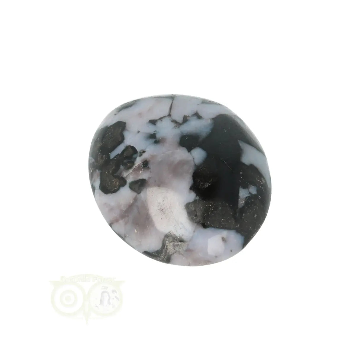 Gabbro Merliniet zaksteen  Nr 8