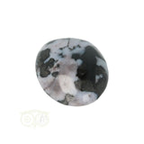 Gabbro Merliniet zaksteen  Nr 8