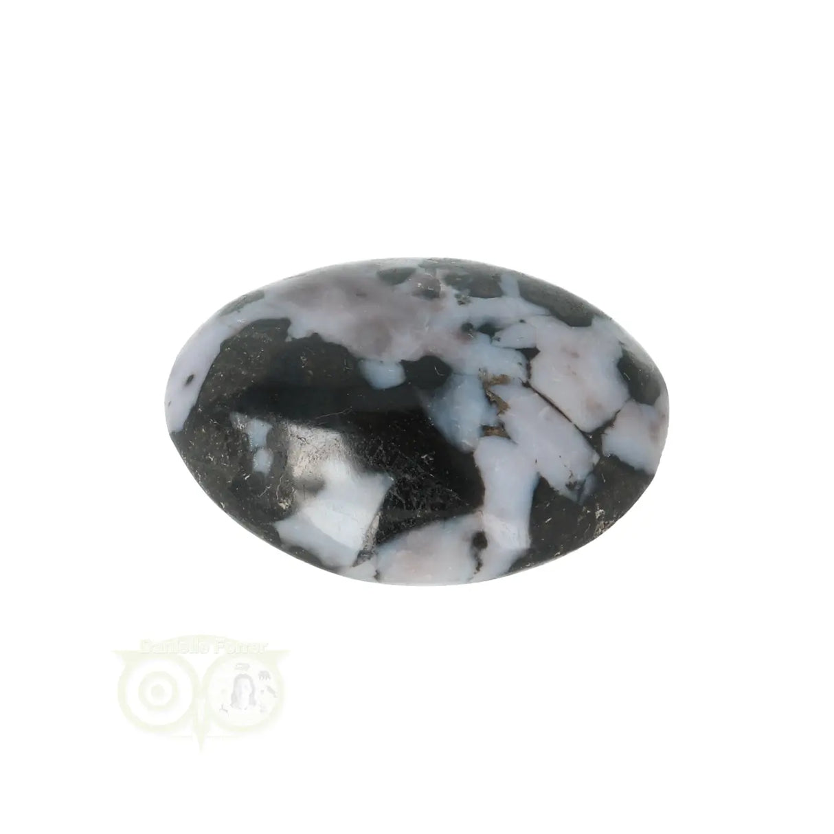 Gabbro Merliniet zaksteen  Nr 8