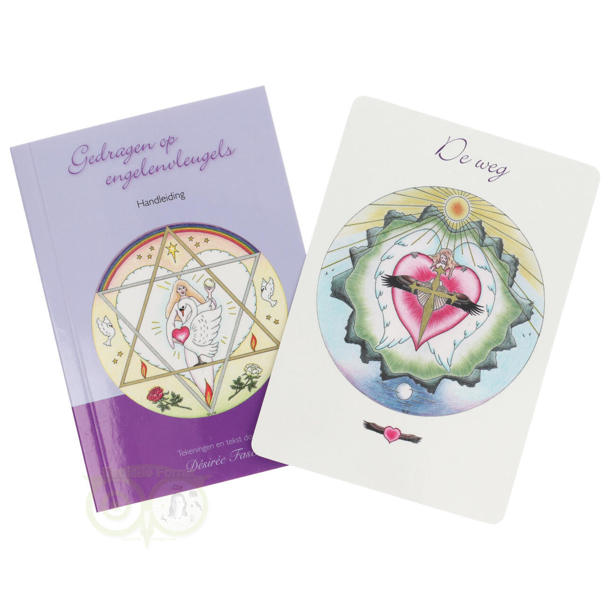 Gedragen op engelenvleugels - Désirée Fasen