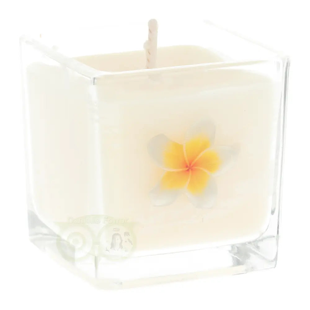 Geurkaars Koolzaadwas Eco 'Nag Champa' in glas