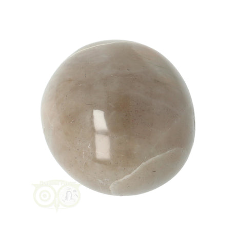 Green Moonstone Palm Stone No. 26 - 54 grams - Madagascar | Gemstone