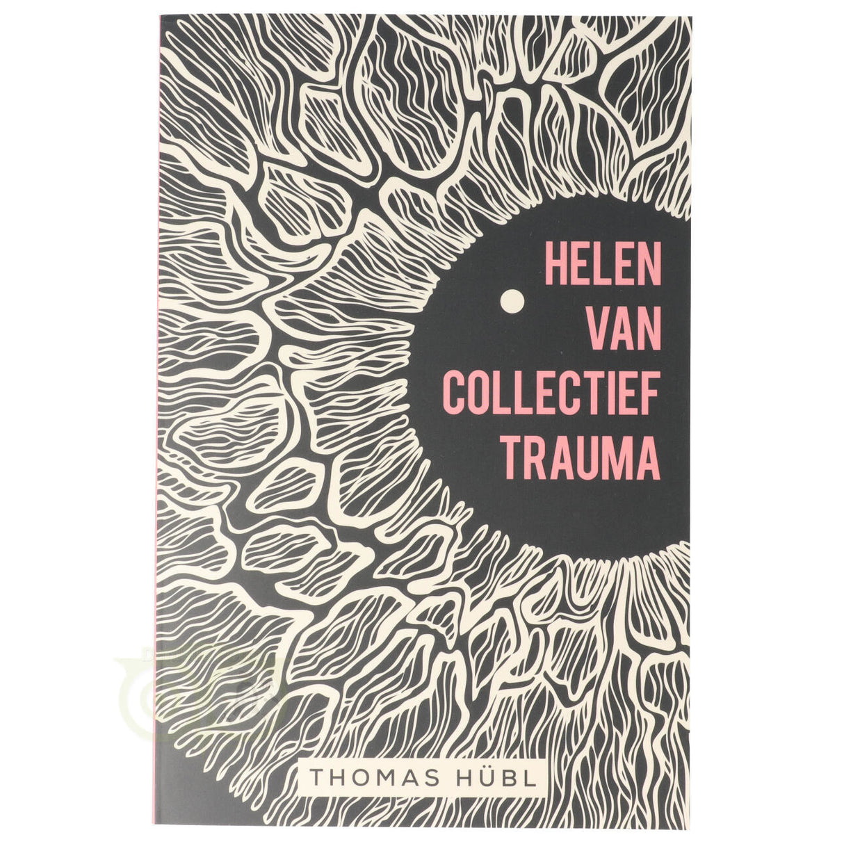 Helen van collectief trauma - Thomas Hübl